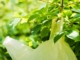 biodegradable pouch bags