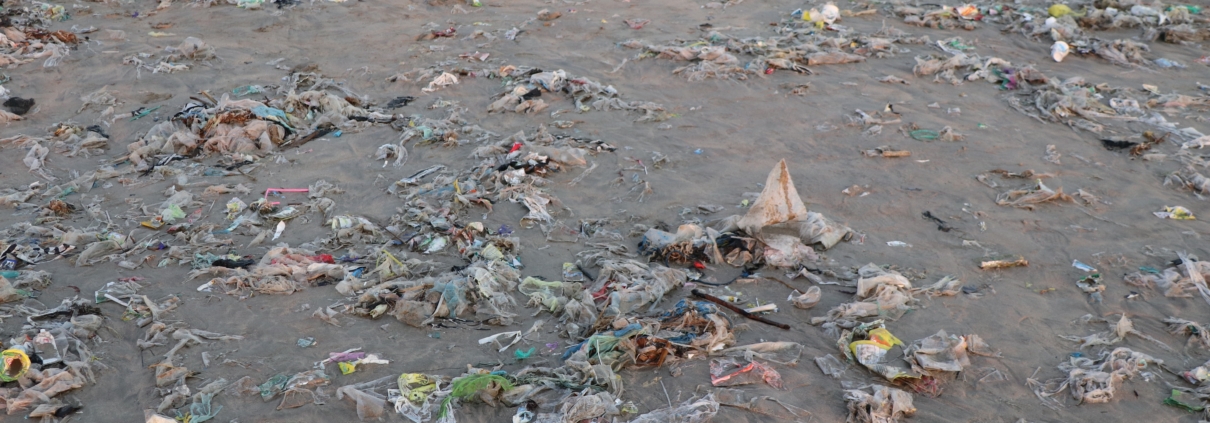 Ganga River Pollution: Causes and Solutions Explained