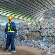 PET Bottle Scrap