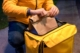 biodegradable courier bags