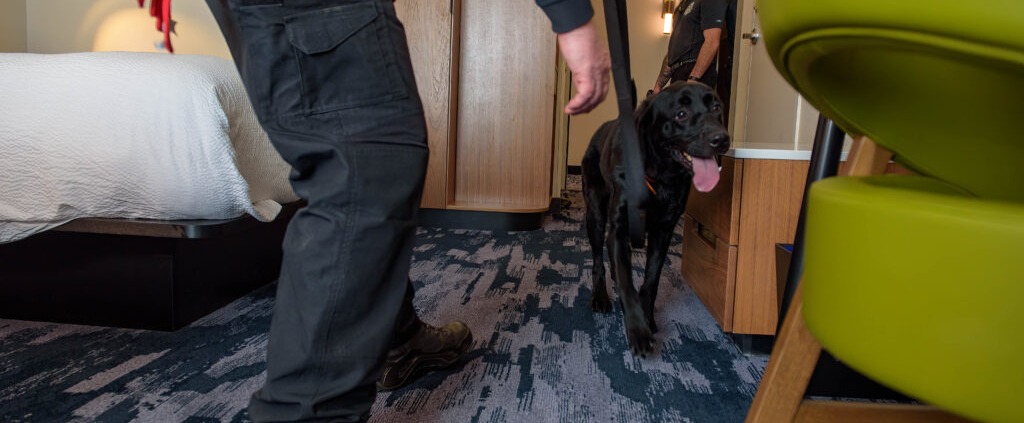 Bed Bug Detection cleveland