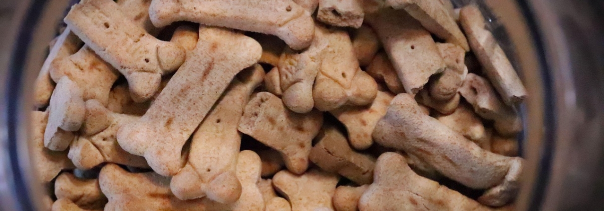 grain free dog food