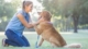 Why Choosing the Right Dog Training Facility Matters