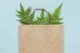 biodegradable plastic bags