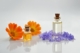 natural essential oils suppliers