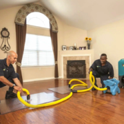 Company Dissolution Services