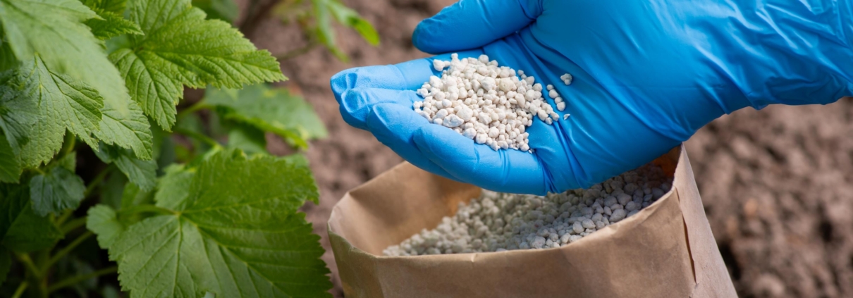 Liquid Fertilizer For Hydroponics​, Biological Fertilizer,