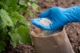 Liquid Fertilizer For Hydroponics​, Biological Fertilizer,