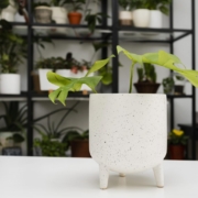 Discover how home decor items can refresh your space with style and comfort. Explore ideas using handmade home decor and curated pieces to elevate every room.