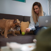 online animal courses Australia