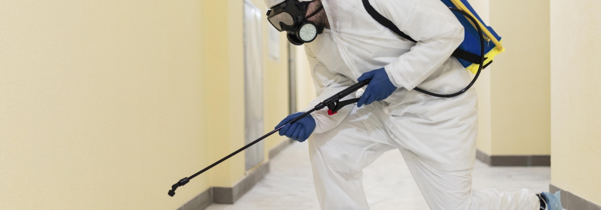 Eco-friendly insect control treatments in Newton Mearns home