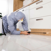 fumigation services
