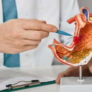 Doctor consulting patient about digestive health