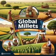 Global Millets Market