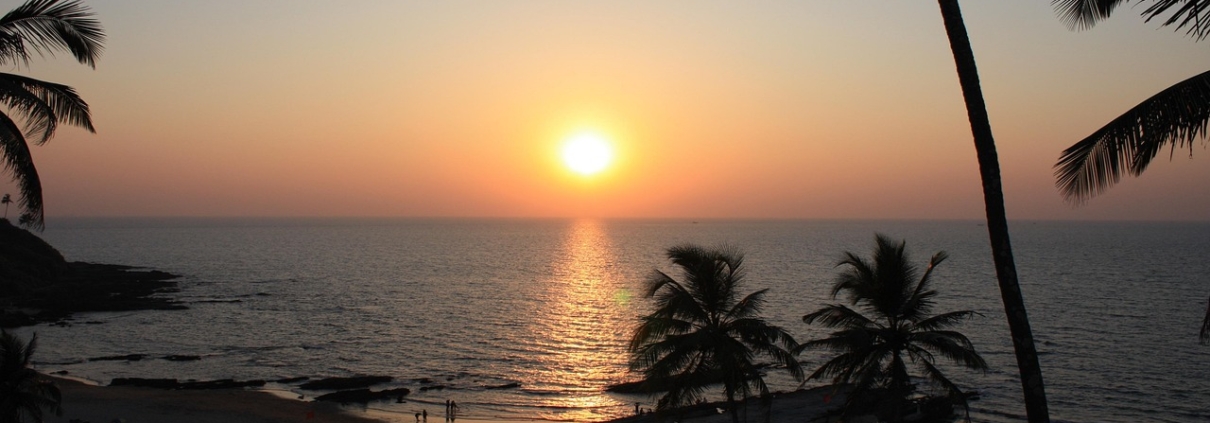 golden triangle with goa tour