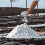 Salt Exporters