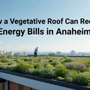 Vegetative Roof