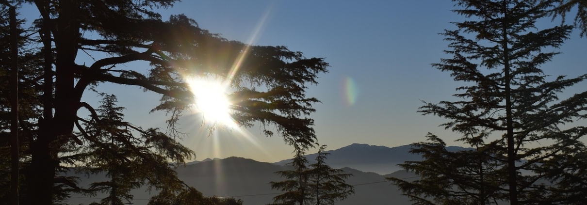 Shimla Manali tours