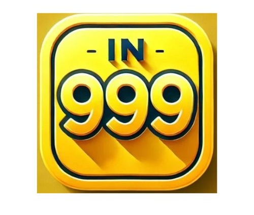in999 logo