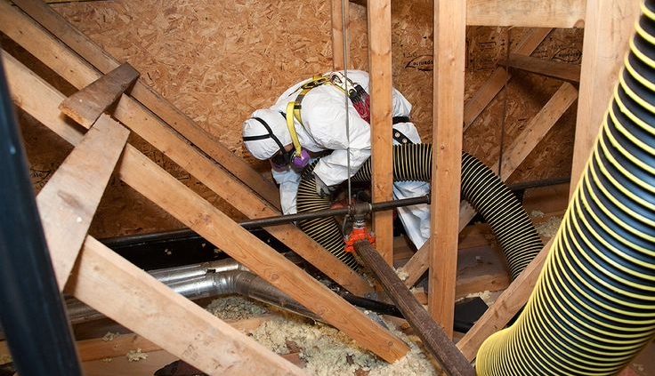 insulation removal services