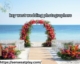 Best Key West Wedding Photographers