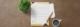 custom letterhead printing