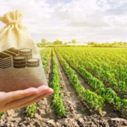 agriculture marketing