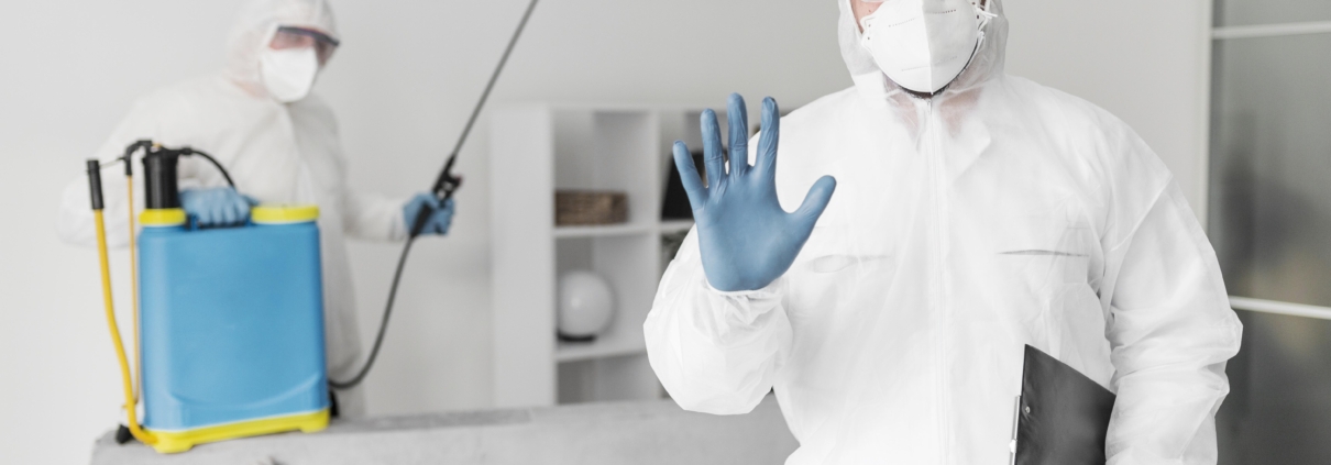Pest Control SEO Service