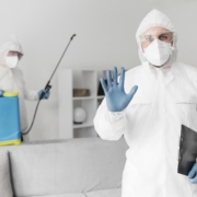 Pest Control SEO Service