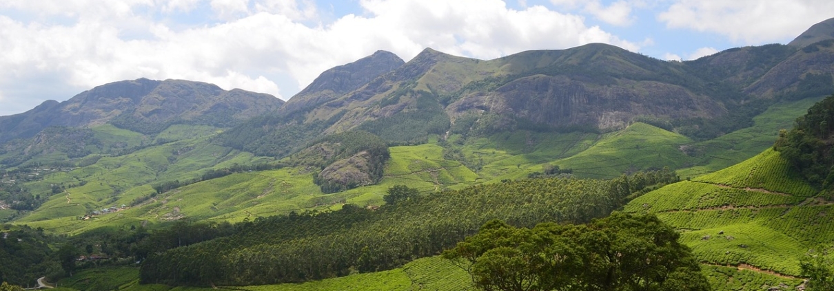 6 Days Kochi Munnar Thekkady Alleppey Tour