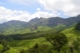 6 Days Kochi Munnar Thekkady Alleppey Tour