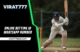 online betting ID whatsapp number