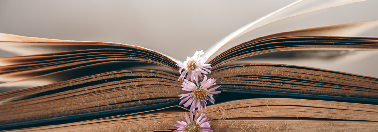 books for manifestation