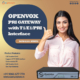 openvox-pri-gateway