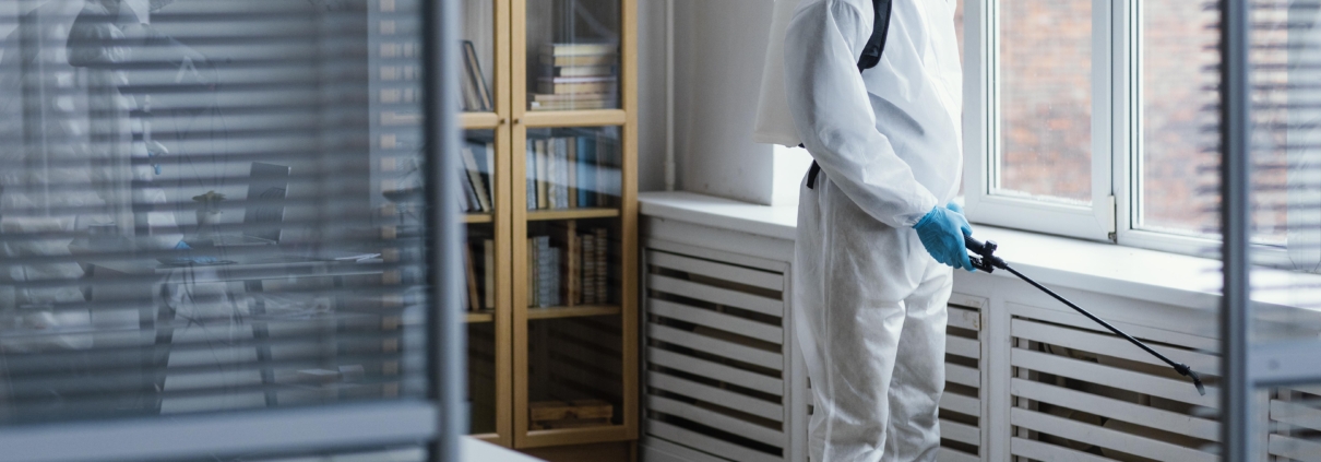 Eco-friendly insect control solutions in Glasgow