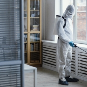 Eco-friendly insect control solutions in Glasgow
