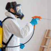 Pest Control Welland