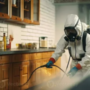 pest control services in Lahore