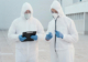 Effective Pest Control in Kilbirnie