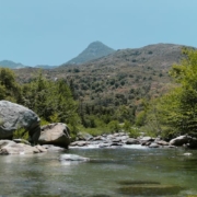 Hill Country in Sri Lanka