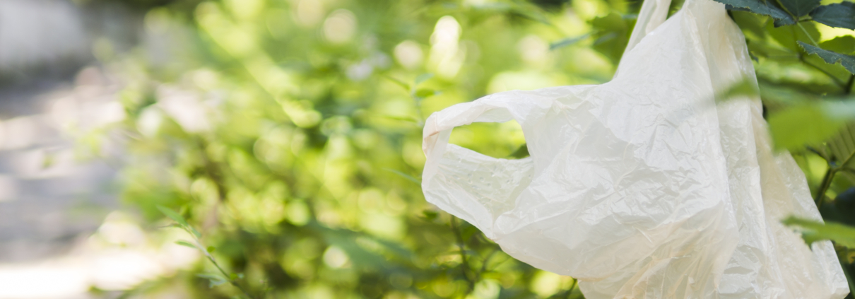 Why Businesses Prefer Biodegradable Bags in Hyderabad Today