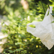 Why Businesses Prefer Biodegradable Bags in Hyderabad Today