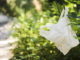Why Businesses Prefer Biodegradable Bags in Hyderabad Today