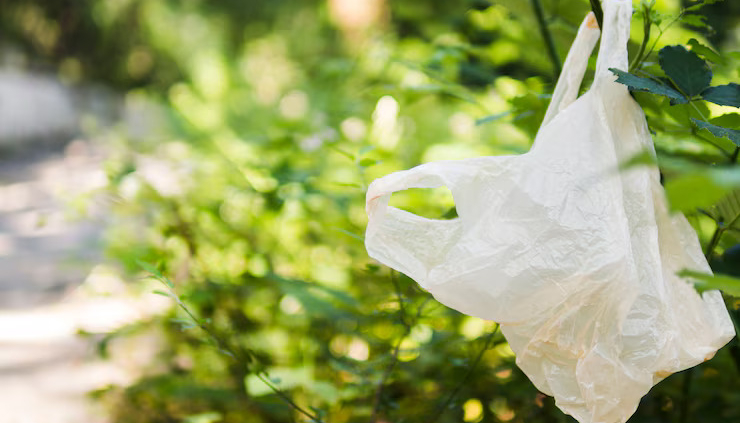 biodegradable grocery bags