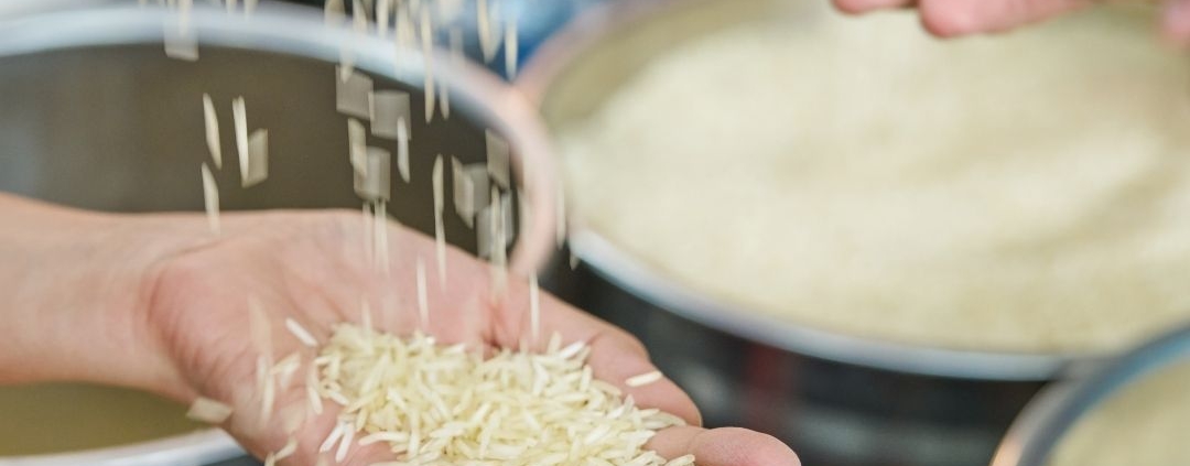 Largest Exporter of Basmati Rice in India – Detailed Guide