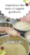 Largest Exporter of Basmati Rice in India – Detailed Guide