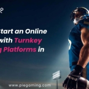 Turnkey iGaming Platforms