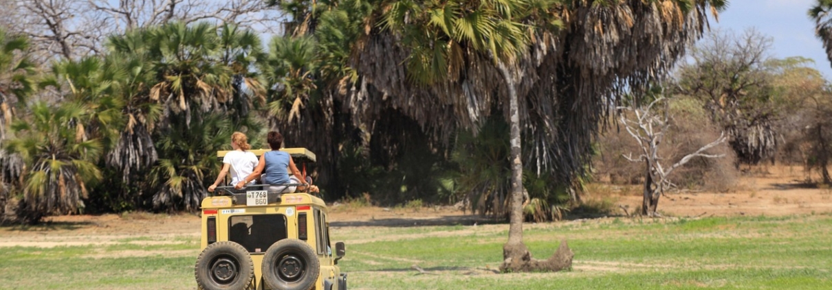 best time to visit tanzania for safari