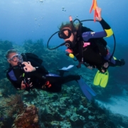 scuba diving in andaman