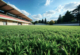 artificial grass suppliers in UAE
